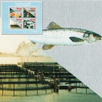 Hodowla Łososia