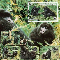 Goryl Górski WWF