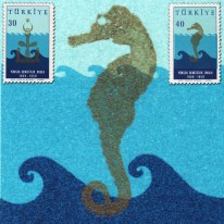 Kotwica Konik Morski