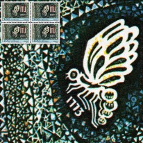 Politechnika Motyl