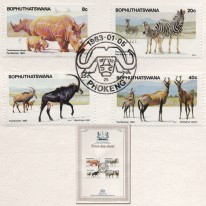 Nosorożec Zebra Antylopy