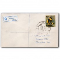 Motyl Erka