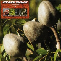 Drzewo Mahoniowiec WWF