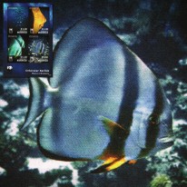 Ryba Plataks Pospolity WWF