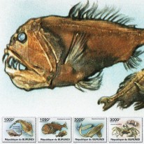 Ryby Krab Rekin