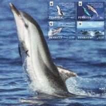 Delfinek Pręgoboki WWF