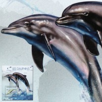 Delfin Suzu Gangesowy