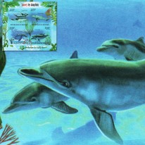 Delfiny Butlonos