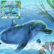 Delfiny Butlonos