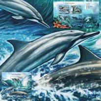 Delfiny Butlonos Inia