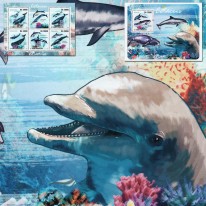 Delfiny i Wieloryby