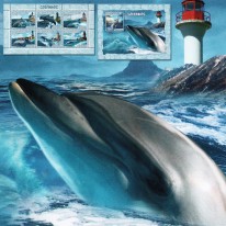 Latarnie Morskie i Delfiny