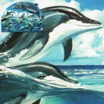 Delfiny PACIFIC EXPLORER