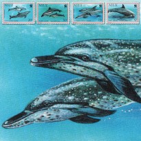 Delfiny WWF