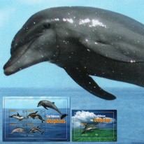 Delfiny Butlonos Orka