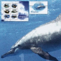 Delfiny