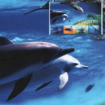 Delfiny Inia Butlonos