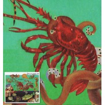 Langusta Skorupiaki
