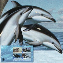 Delfiny