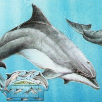 Delfiny Butlonos