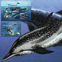 Delfiny