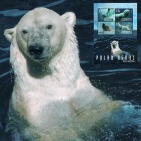 Niedźwiedź Polarny