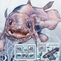 Ryby Latimeria