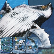 Wieloryby Moby Dick