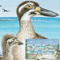 Ptak Kulon Plażowy WWF