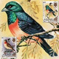 Ptaki Muszarki Birdpex’90