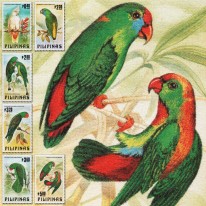 Papugi Aleksandretty Kakadu