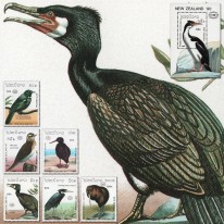 Ptaki Kormoran Kiwi Czapla
