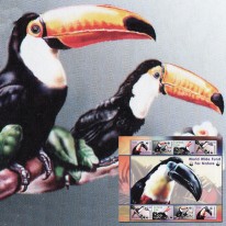 Tukany WWF