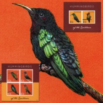 Kolibry Antylak Węglik Sylfik