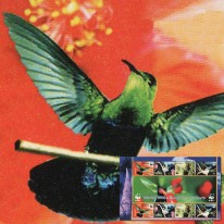 Kolibry Antylaki WWF