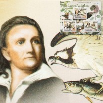 Audubon i Ptaki Rybołów...