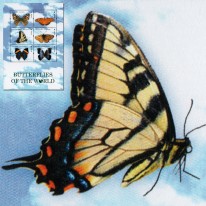 Motyle