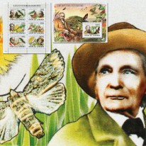 Motyle Ćmy i Entomolodzy