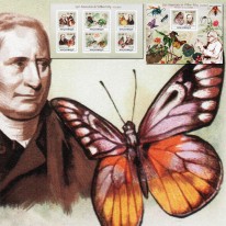 Motyle Owady i Entomolog