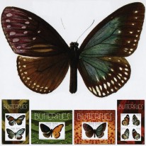 Motyle