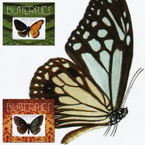 Motyle