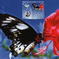 Motyl i Lepidopterolog