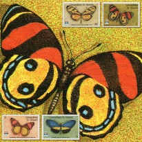 Motyle Genova’92
