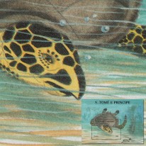 Żółw Morski