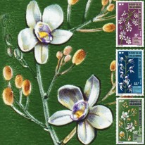Kwiaty Orchidee Storczyki