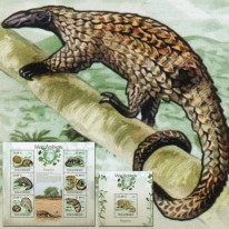 Łuskowce