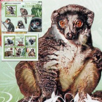 Lemuria Manguścia