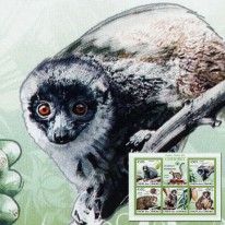 Lemuria Manguścia