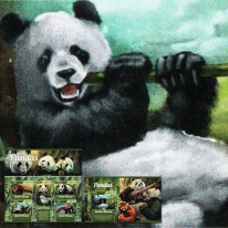 Panda Wielka Pandka Ruda