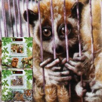 Orangutan Handel Zwierzętami